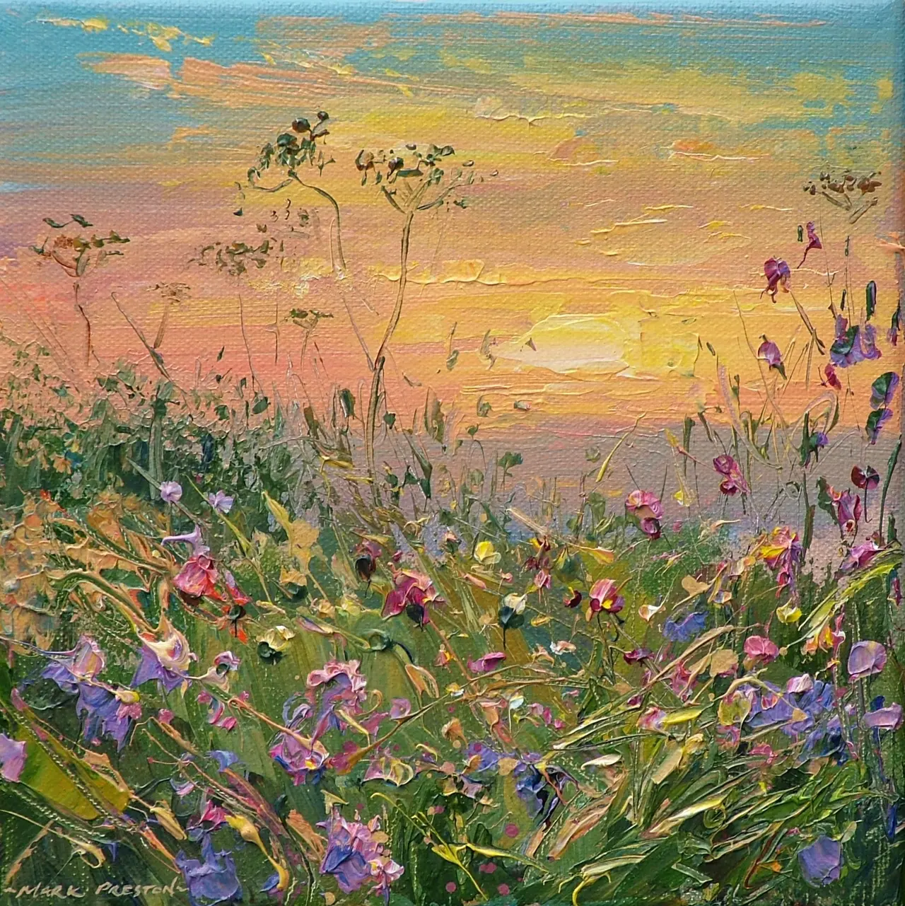 Mark Preston - sunset, bonsall moor